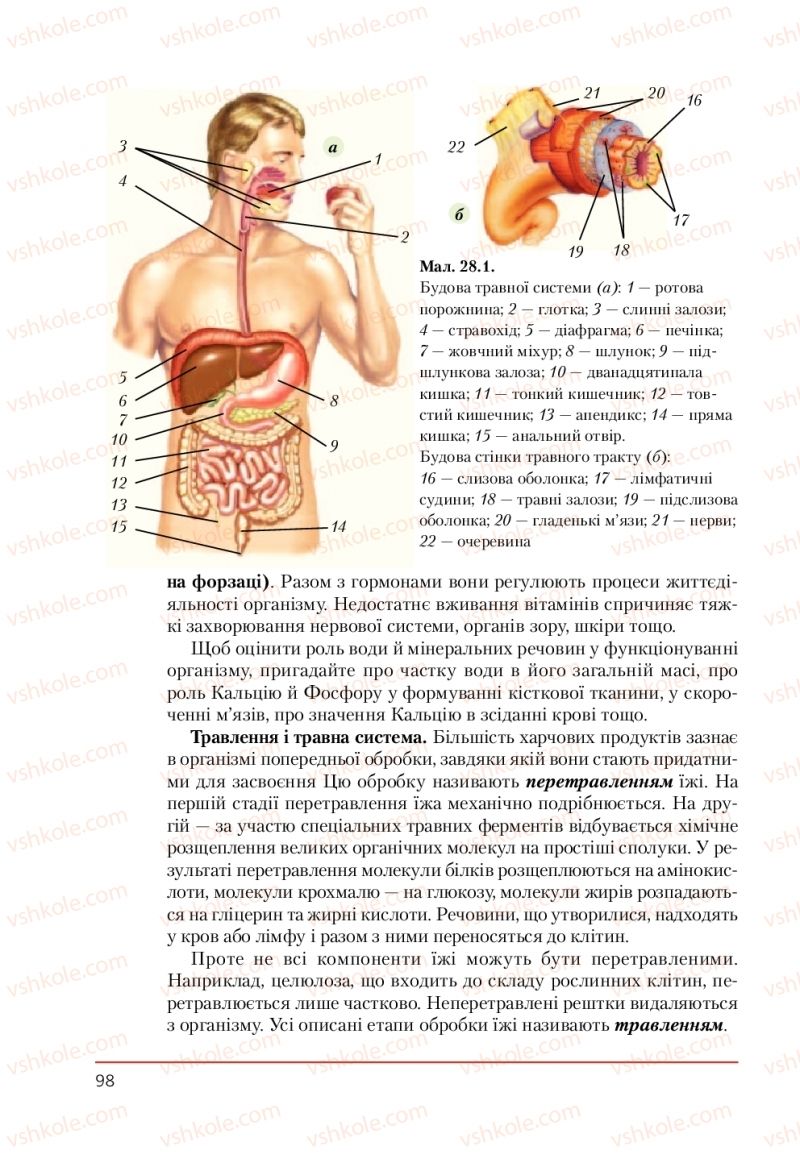 Страница 98 | Підручник Біологія 9 клас Т.І. Базанова, Ю.В. Павіченко, А.М. Тіткова 2009