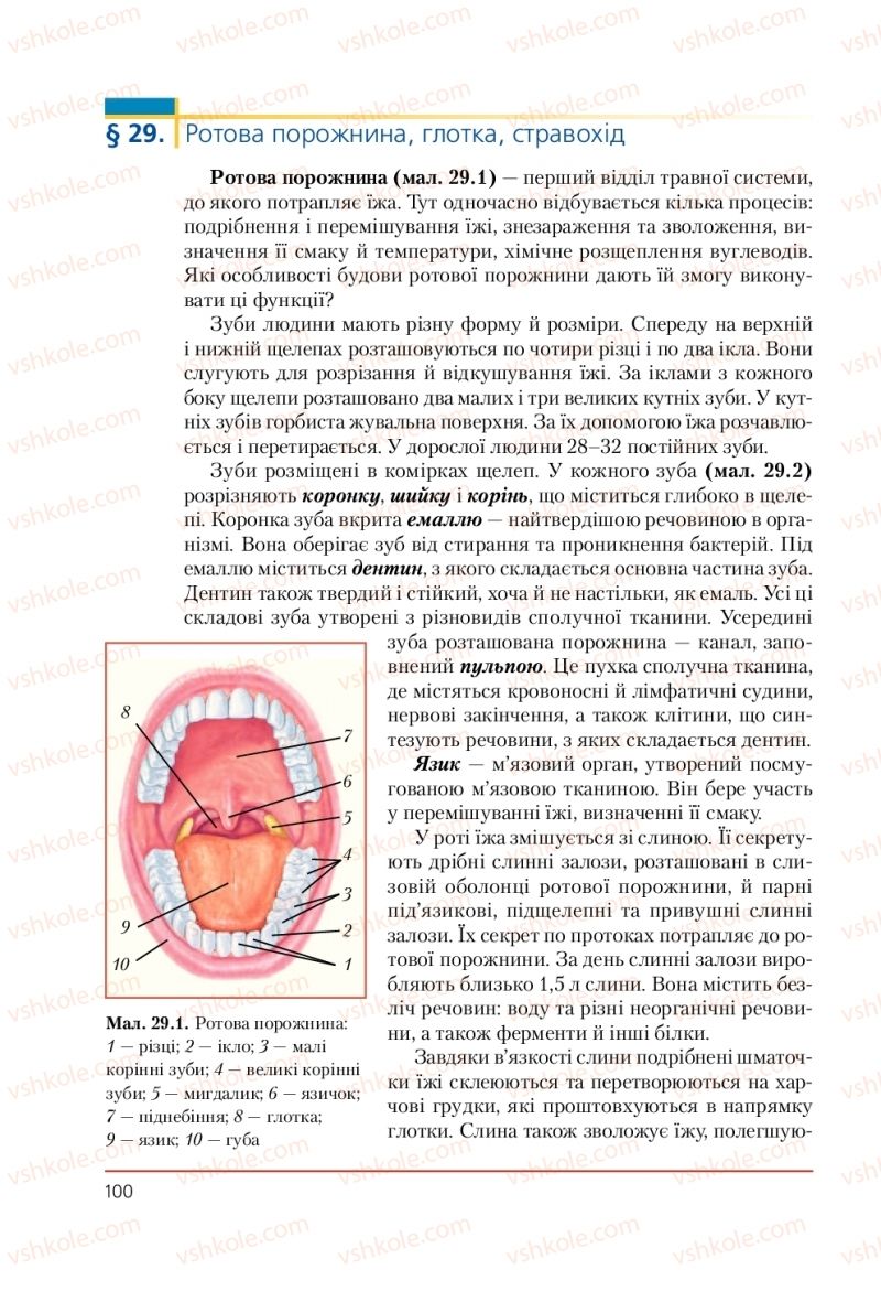 Страница 100 | Підручник Біологія 9 клас Т.І. Базанова, Ю.В. Павіченко, А.М. Тіткова 2009