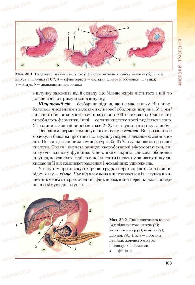 Страница 103 | Підручник Біологія 9 клас Т.І. Базанова, Ю.В. Павіченко, А.М. Тіткова 2009