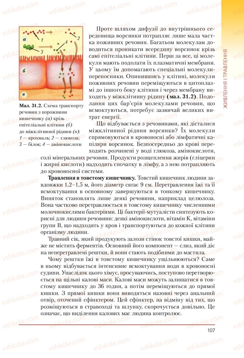 Страница 107 | Підручник Біологія 9 клас Т.І. Базанова, Ю.В. Павіченко, А.М. Тіткова 2009