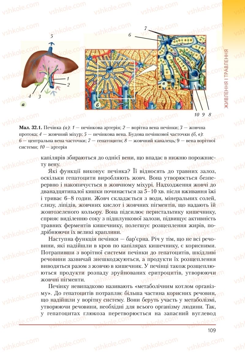 Страница 109 | Підручник Біологія 9 клас Т.І. Базанова, Ю.В. Павіченко, А.М. Тіткова 2009