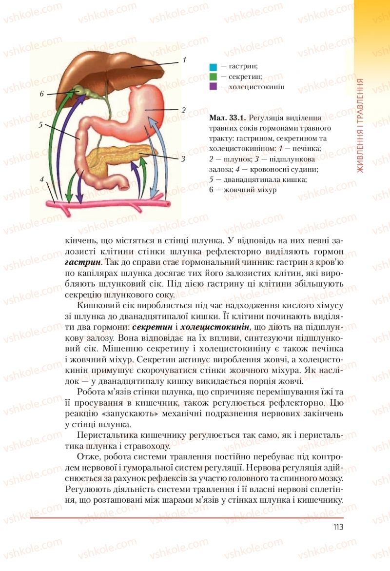 Страница 113 | Підручник Біологія 9 клас Т.І. Базанова, Ю.В. Павіченко, А.М. Тіткова 2009