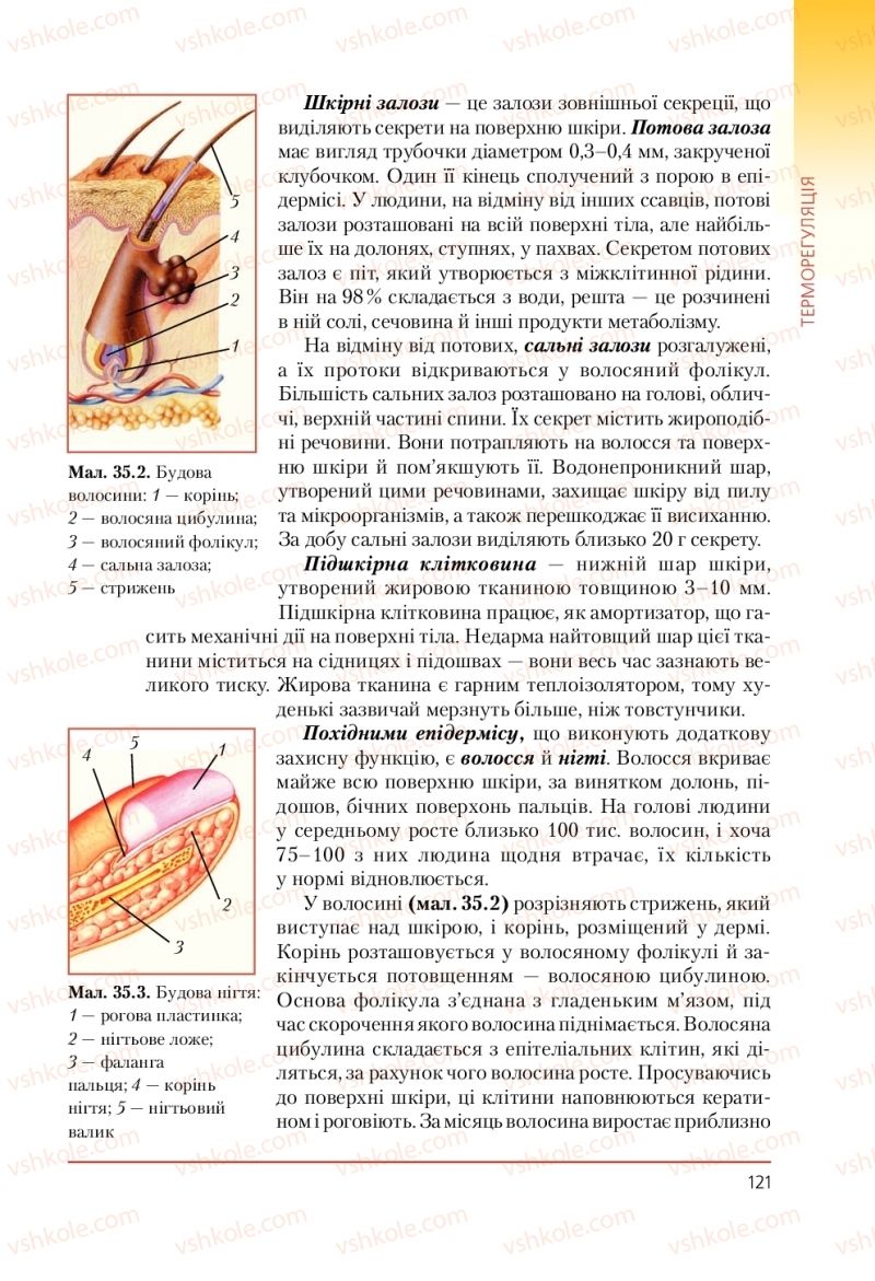 Страница 121 | Підручник Біологія 9 клас Т.І. Базанова, Ю.В. Павіченко, А.М. Тіткова 2009