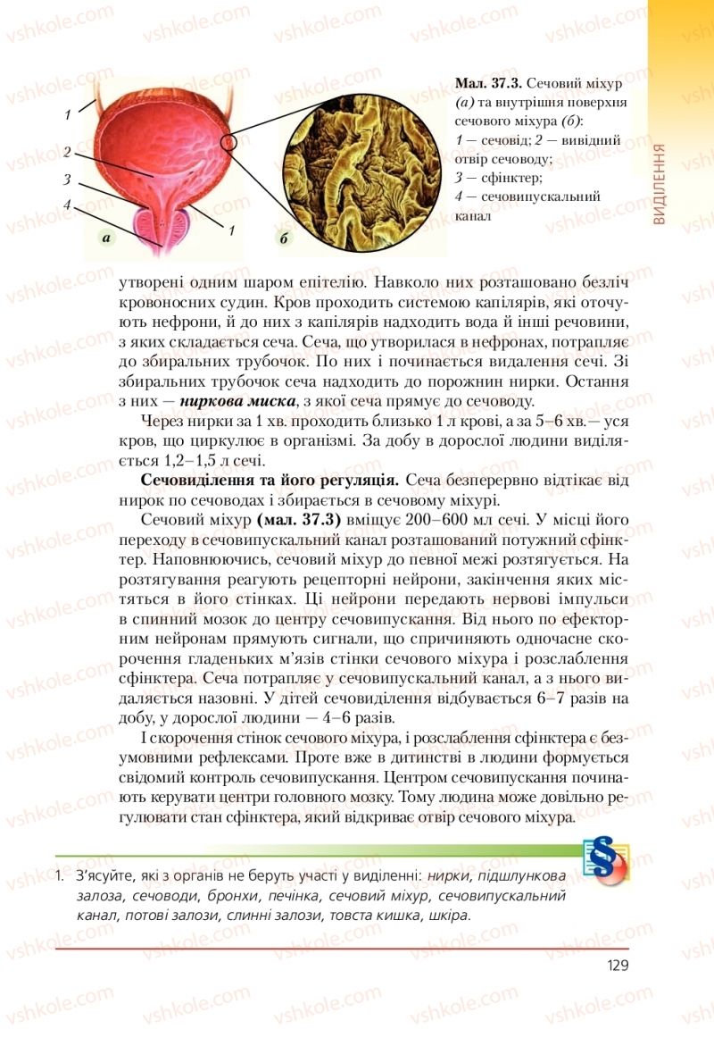 Страница 129 | Підручник Біологія 9 клас Т.І. Базанова, Ю.В. Павіченко, А.М. Тіткова 2009