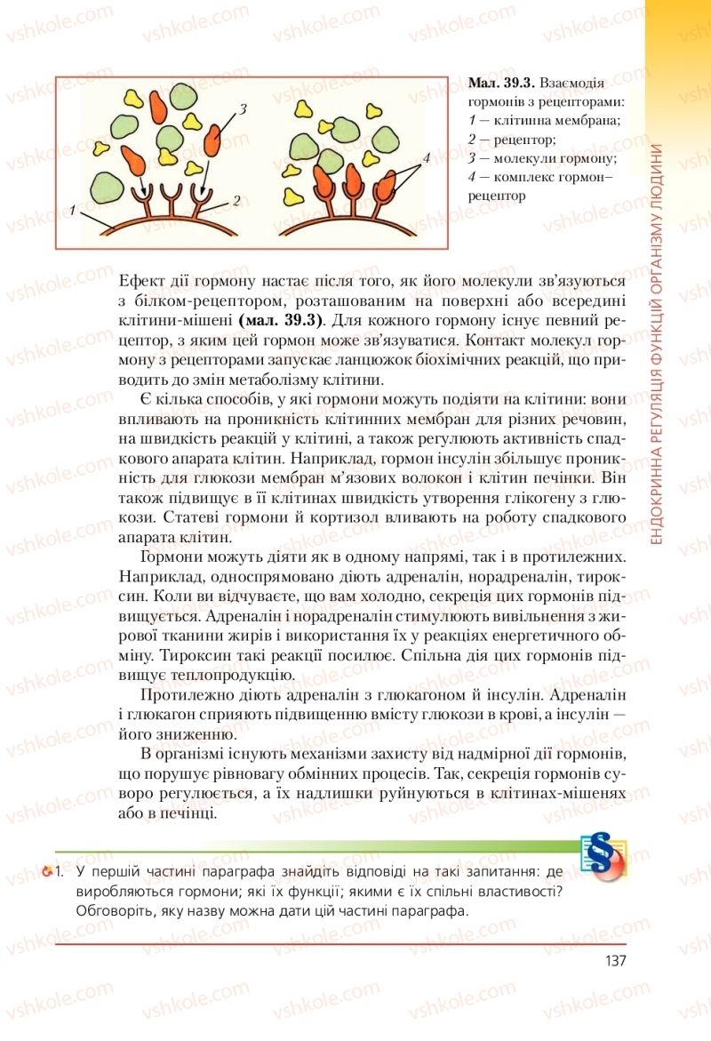 Страница 137 | Підручник Біологія 9 клас Т.І. Базанова, Ю.В. Павіченко, А.М. Тіткова 2009