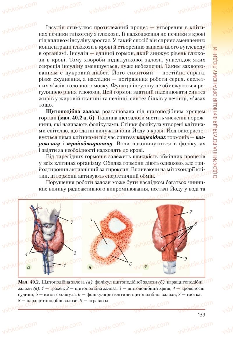 Страница 139 | Підручник Біологія 9 клас Т.І. Базанова, Ю.В. Павіченко, А.М. Тіткова 2009