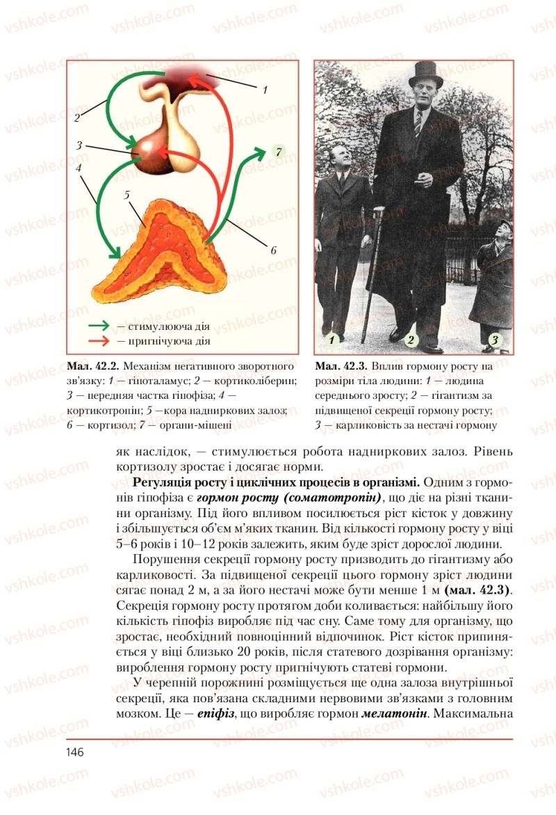 Страница 146 | Підручник Біологія 9 клас Т.І. Базанова, Ю.В. Павіченко, А.М. Тіткова 2009