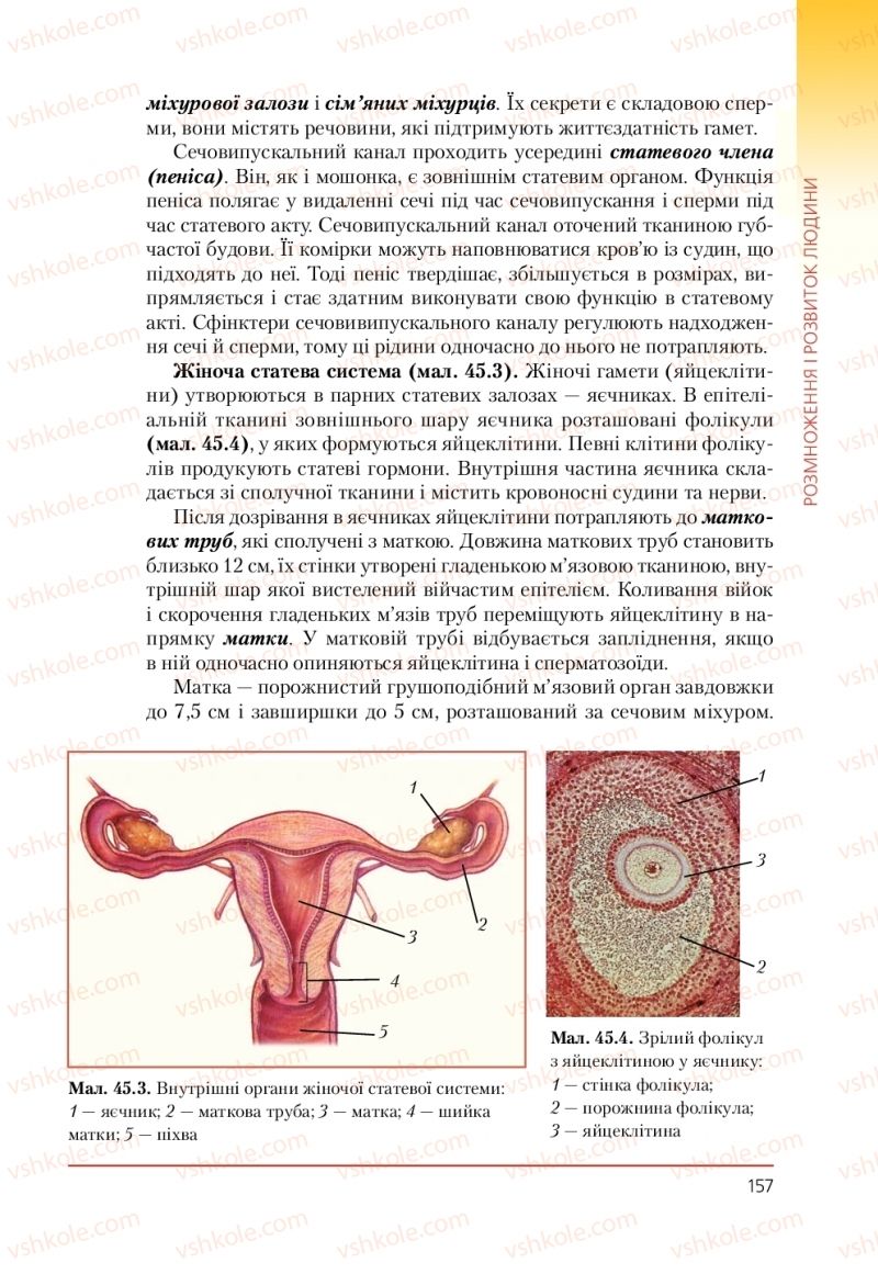 Страница 157 | Підручник Біологія 9 клас Т.І. Базанова, Ю.В. Павіченко, А.М. Тіткова 2009