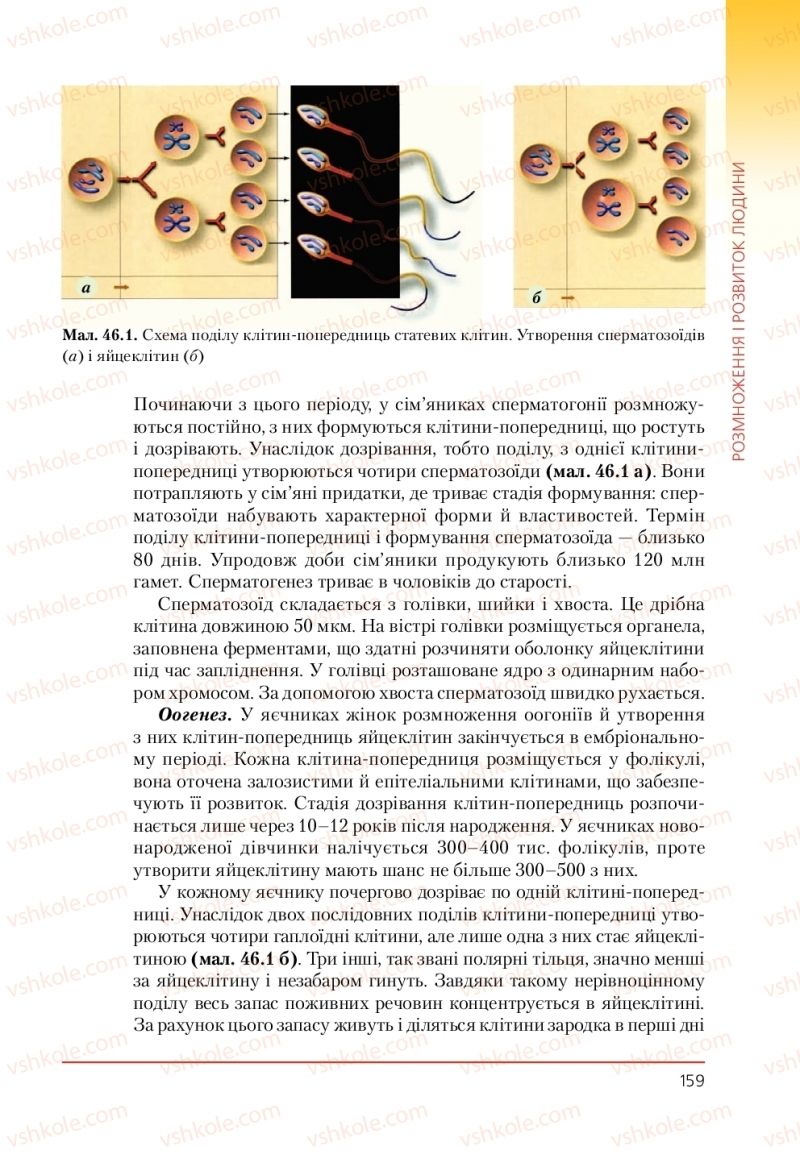 Страница 159 | Підручник Біологія 9 клас Т.І. Базанова, Ю.В. Павіченко, А.М. Тіткова 2009