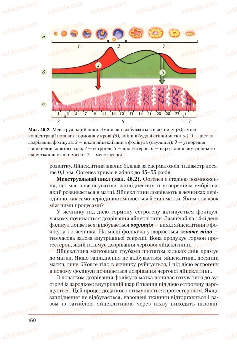 Страница 160 | Підручник Біологія 9 клас Т.І. Базанова, Ю.В. Павіченко, А.М. Тіткова 2009