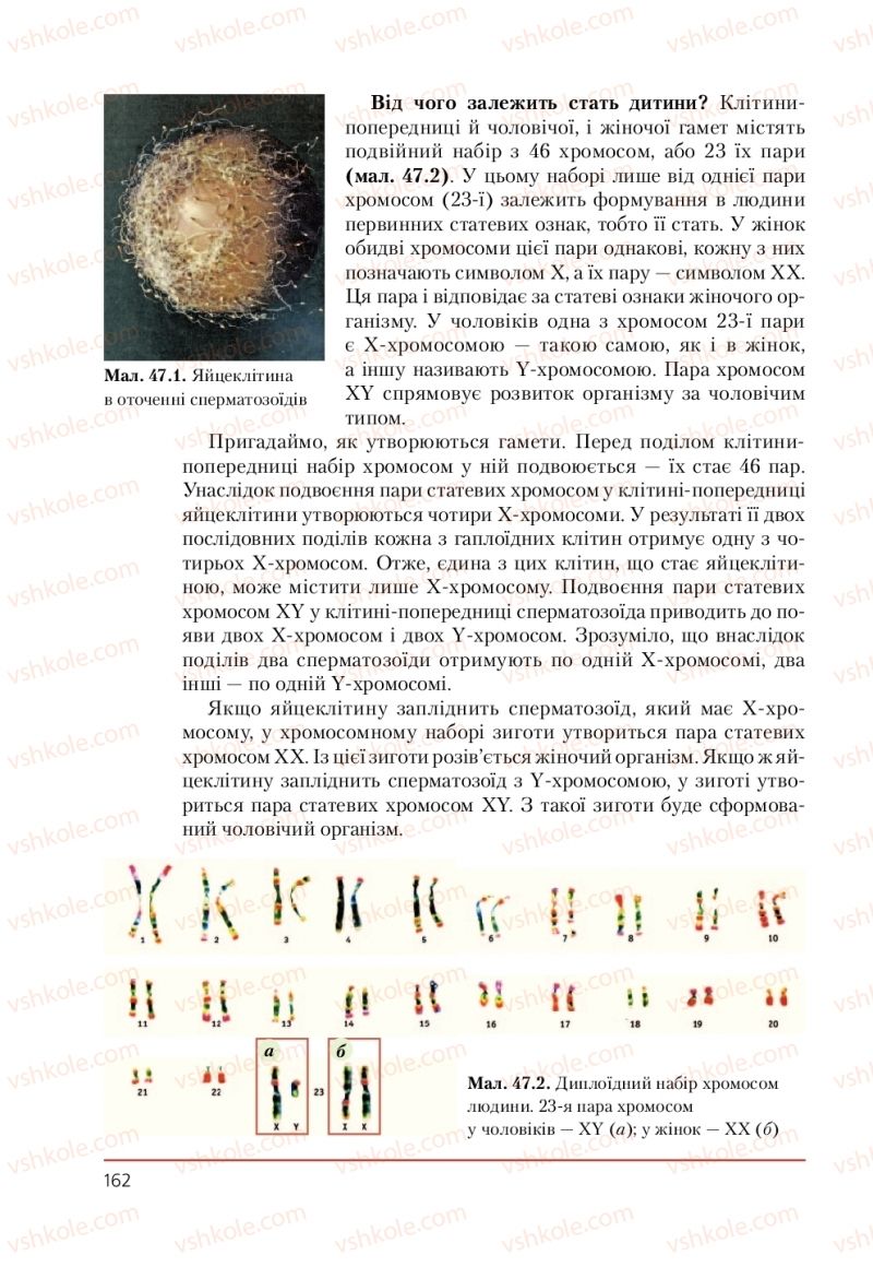 Страница 162 | Підручник Біологія 9 клас Т.І. Базанова, Ю.В. Павіченко, А.М. Тіткова 2009