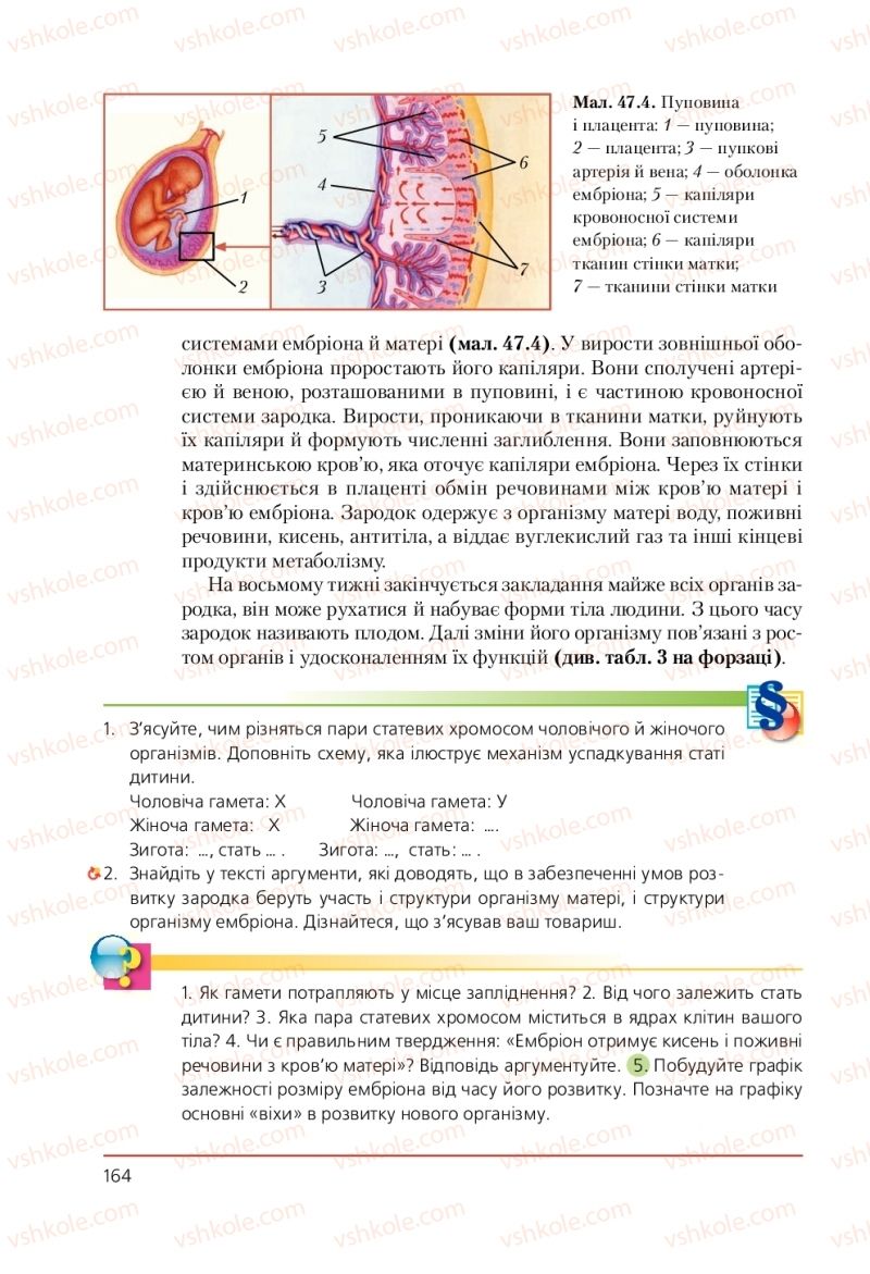 Страница 164 | Підручник Біологія 9 клас Т.І. Базанова, Ю.В. Павіченко, А.М. Тіткова 2009