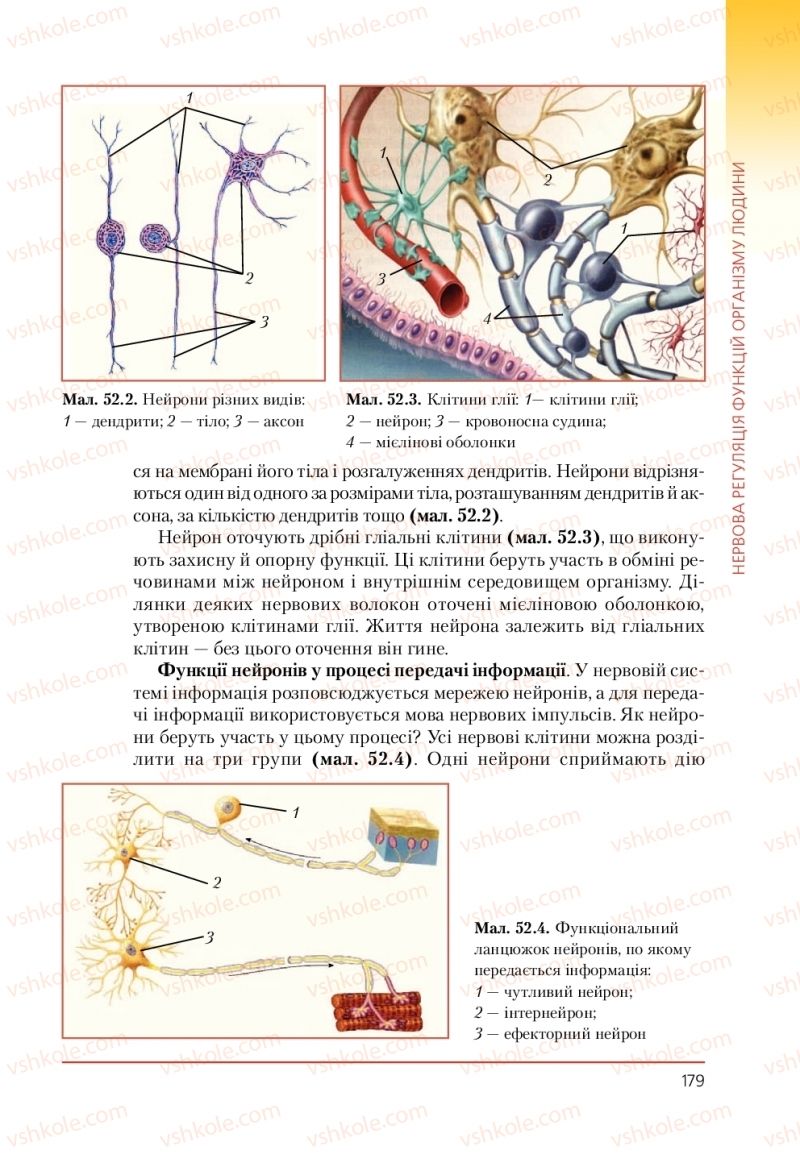 Страница 179 | Підручник Біологія 9 клас Т.І. Базанова, Ю.В. Павіченко, А.М. Тіткова 2009