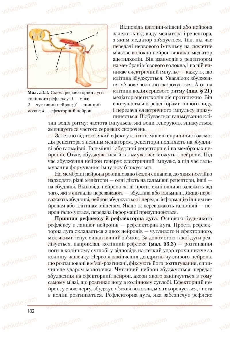 Страница 182 | Підручник Біологія 9 клас Т.І. Базанова, Ю.В. Павіченко, А.М. Тіткова 2009
