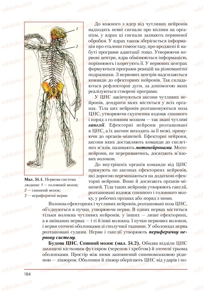 Страница 184 | Підручник Біологія 9 клас Т.І. Базанова, Ю.В. Павіченко, А.М. Тіткова 2009