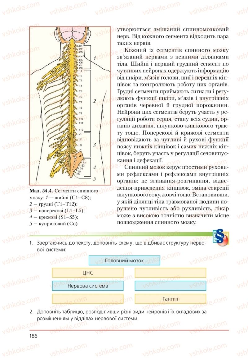 Страница 186 | Підручник Біологія 9 клас Т.І. Базанова, Ю.В. Павіченко, А.М. Тіткова 2009