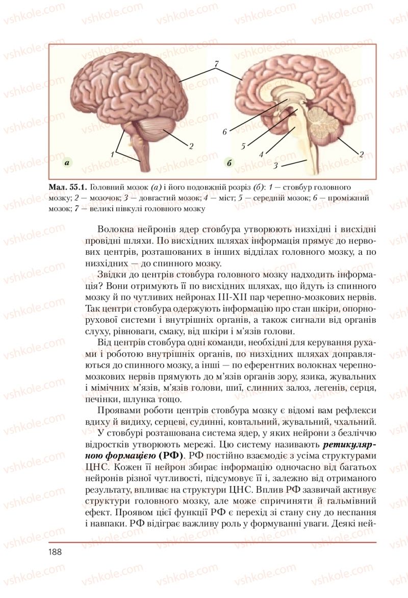 Страница 188 | Підручник Біологія 9 клас Т.І. Базанова, Ю.В. Павіченко, А.М. Тіткова 2009