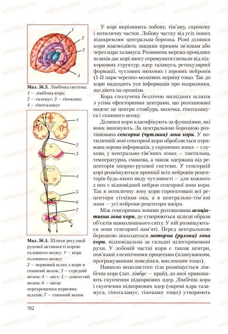 Страница 192 | Підручник Біологія 9 клас Т.І. Базанова, Ю.В. Павіченко, А.М. Тіткова 2009