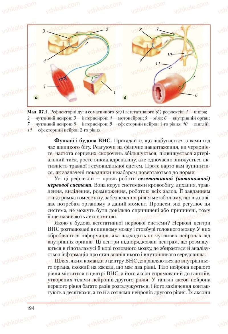 Страница 194 | Підручник Біологія 9 клас Т.І. Базанова, Ю.В. Павіченко, А.М. Тіткова 2009