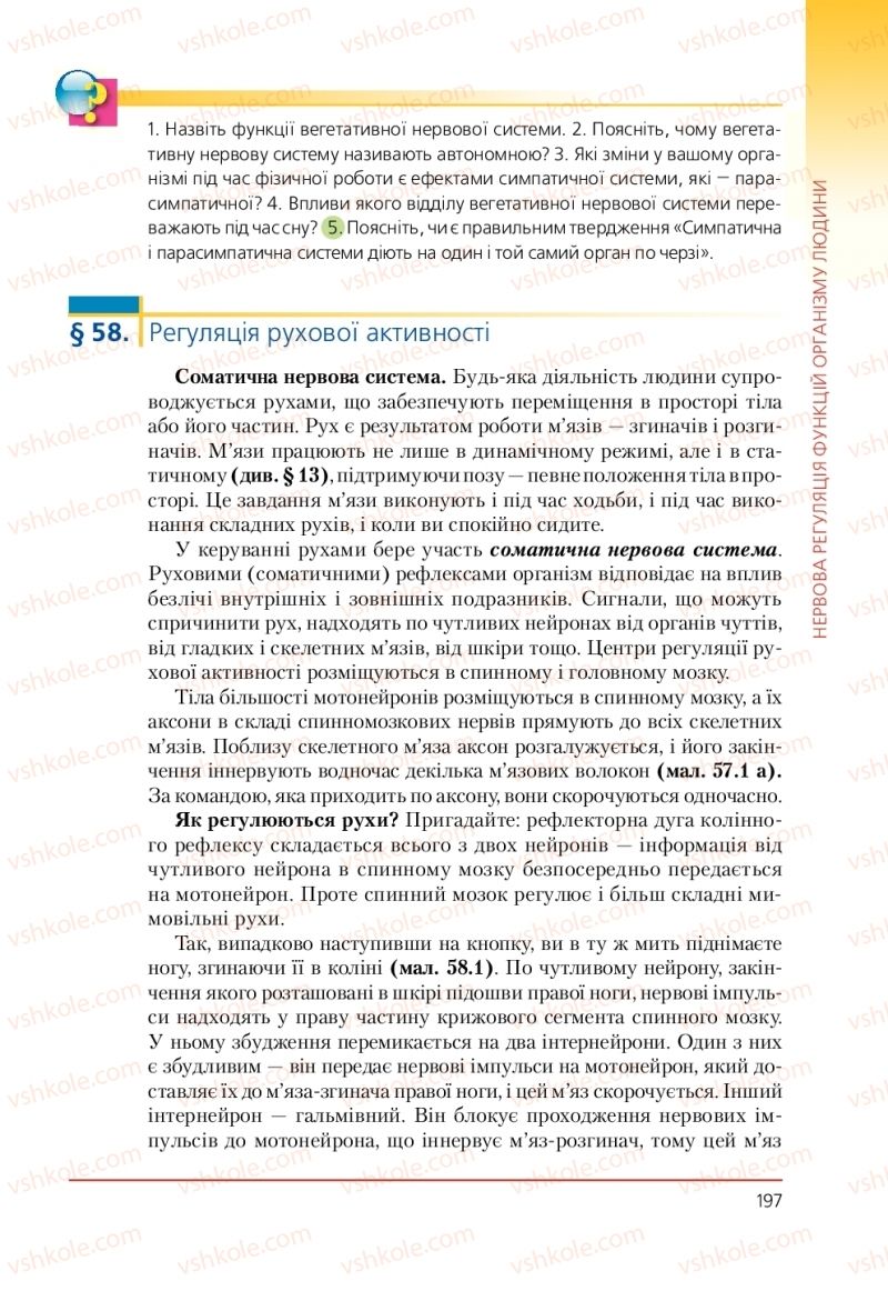 Страница 197 | Підручник Біологія 9 клас Т.І. Базанова, Ю.В. Павіченко, А.М. Тіткова 2009