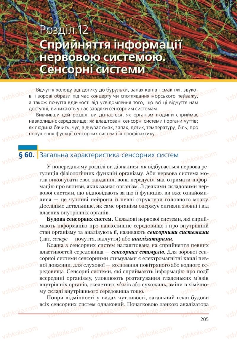 Страница 205 | Підручник Біологія 9 клас Т.І. Базанова, Ю.В. Павіченко, А.М. Тіткова 2009