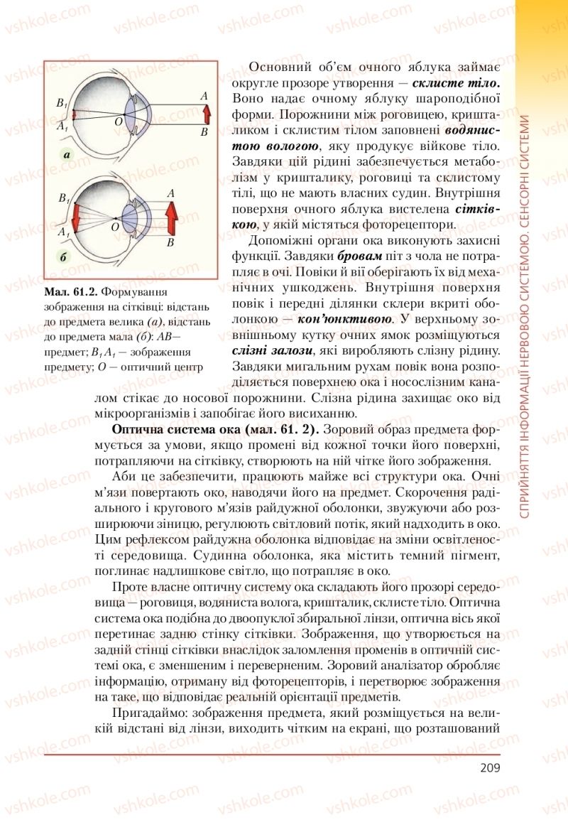 Страница 209 | Підручник Біологія 9 клас Т.І. Базанова, Ю.В. Павіченко, А.М. Тіткова 2009