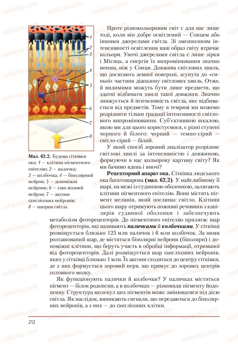 Страница 212 | Підручник Біологія 9 клас Т.І. Базанова, Ю.В. Павіченко, А.М. Тіткова 2009