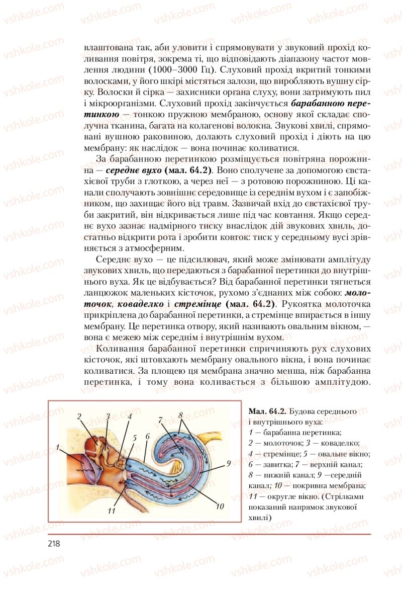 Страница 218 | Підручник Біологія 9 клас Т.І. Базанова, Ю.В. Павіченко, А.М. Тіткова 2009