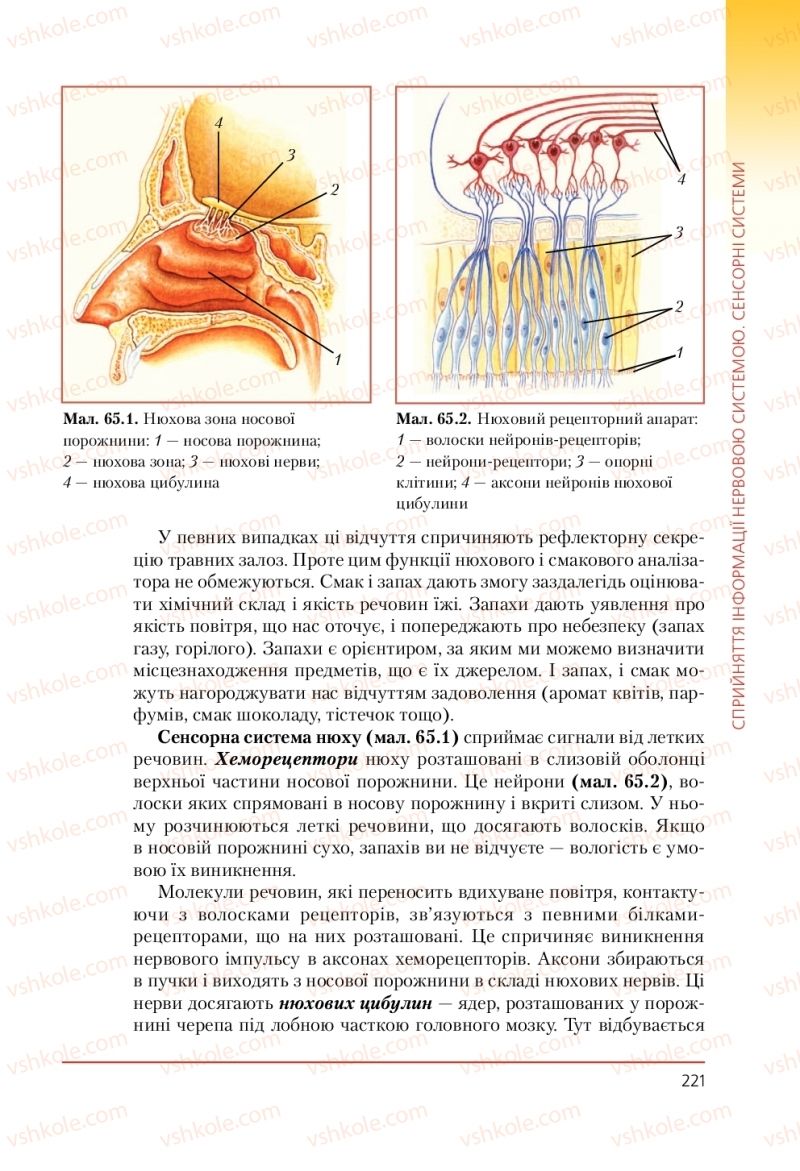 Страница 221 | Підручник Біологія 9 клас Т.І. Базанова, Ю.В. Павіченко, А.М. Тіткова 2009