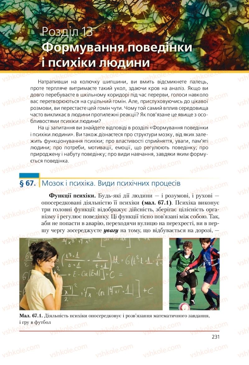 Страница 231 | Підручник Біологія 9 клас Т.І. Базанова, Ю.В. Павіченко, А.М. Тіткова 2009