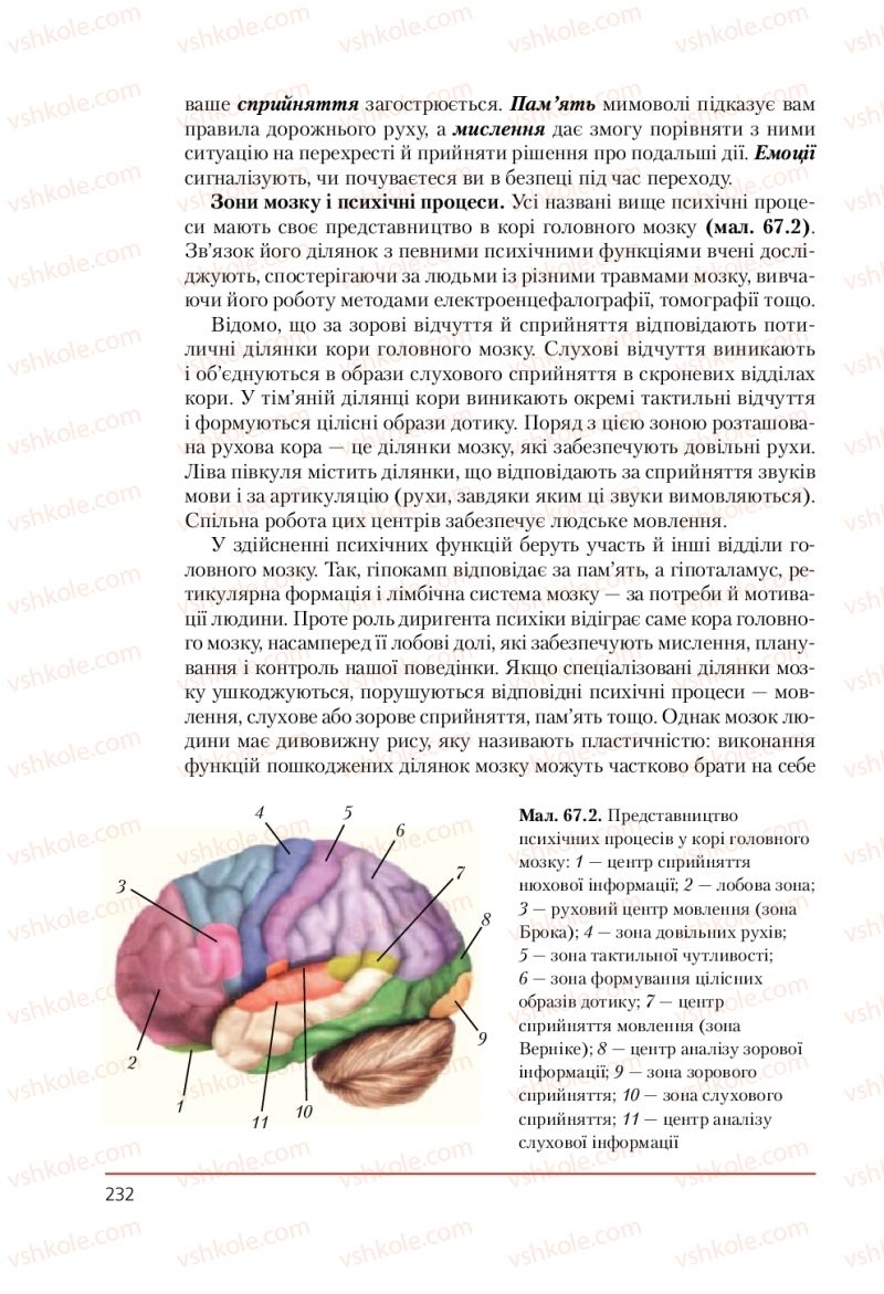 Страница 232 | Підручник Біологія 9 клас Т.І. Базанова, Ю.В. Павіченко, А.М. Тіткова 2009