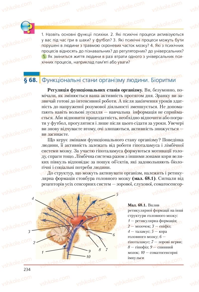 Страница 234 | Підручник Біологія 9 клас Т.І. Базанова, Ю.В. Павіченко, А.М. Тіткова 2009