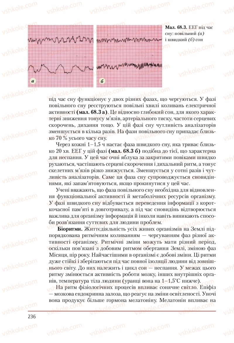 Страница 236 | Підручник Біологія 9 клас Т.І. Базанова, Ю.В. Павіченко, А.М. Тіткова 2009