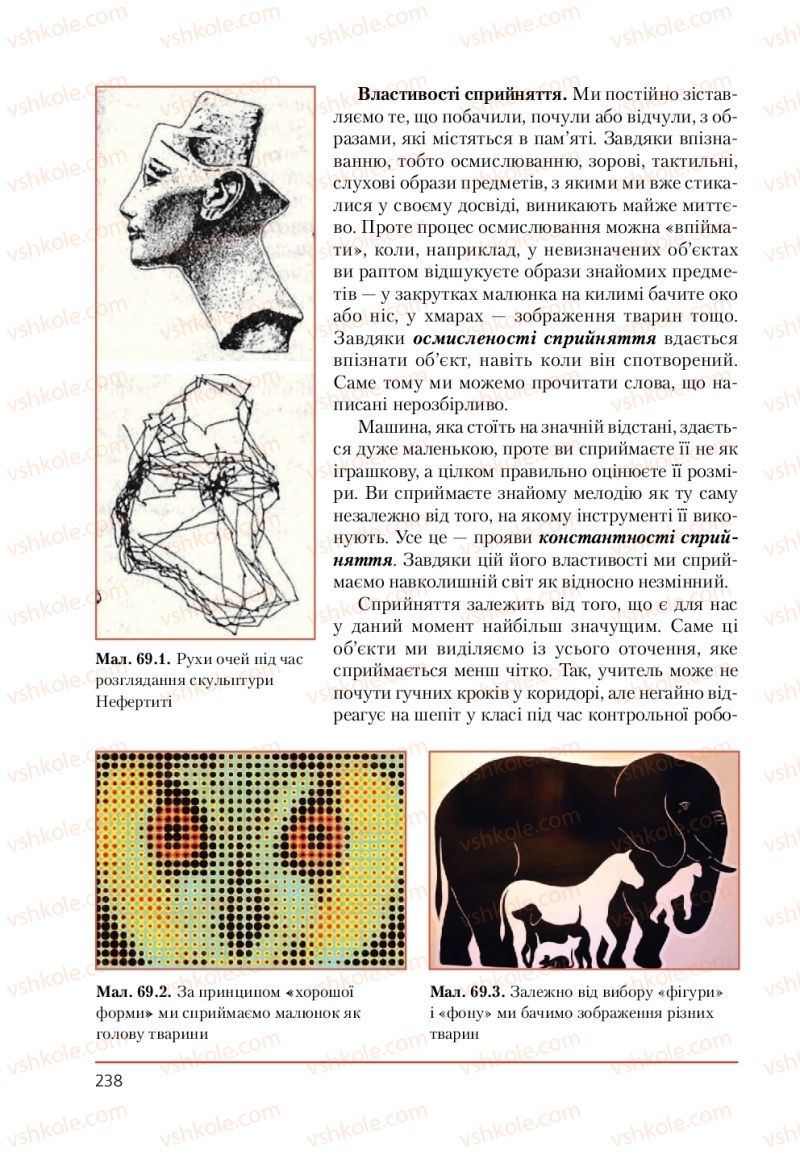 Страница 238 | Підручник Біологія 9 клас Т.І. Базанова, Ю.В. Павіченко, А.М. Тіткова 2009