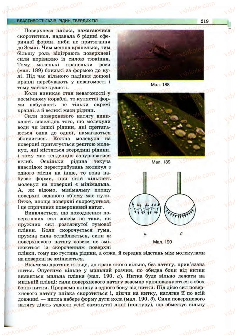 Страница 219 | Підручник Фізика 10 клас В.Д. Сиротюк, В.І. Баштовий 2010 Рівень стандарту