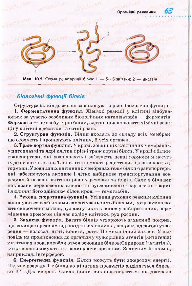 Страница 63 | Підручник Біологія 10 клас О.В. Тагліна 2010 Академічний рівень