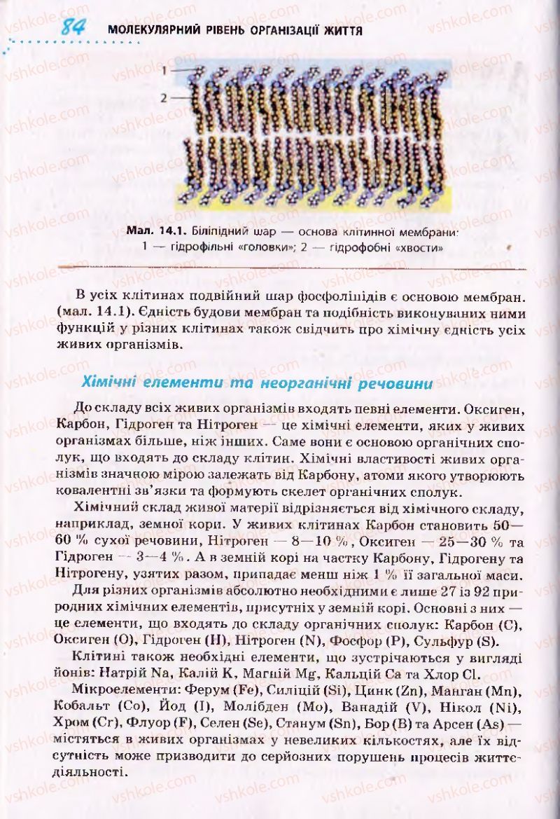 Страница 84 | Підручник Біологія 10 клас О.В. Тагліна 2010 Академічний рівень