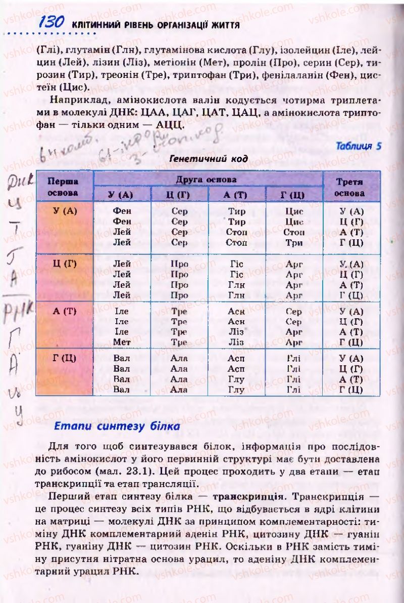 Страница 130 | Підручник Біологія 10 клас О.В. Тагліна 2010 Академічний рівень
