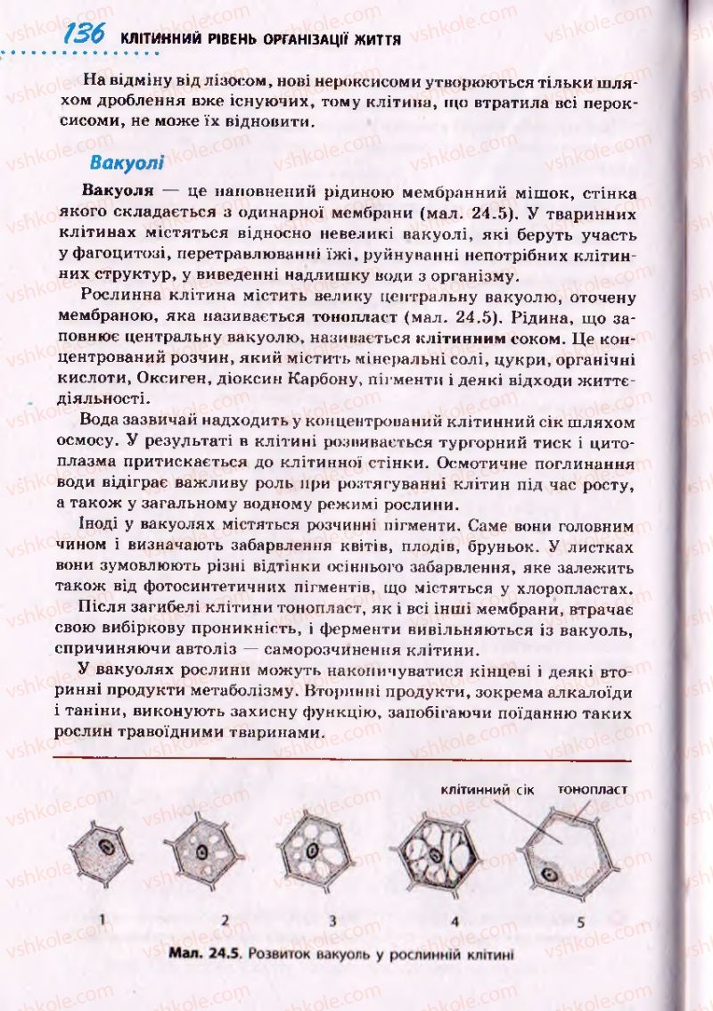 Страница 136 | Підручник Біологія 10 клас О.В. Тагліна 2010 Академічний рівень