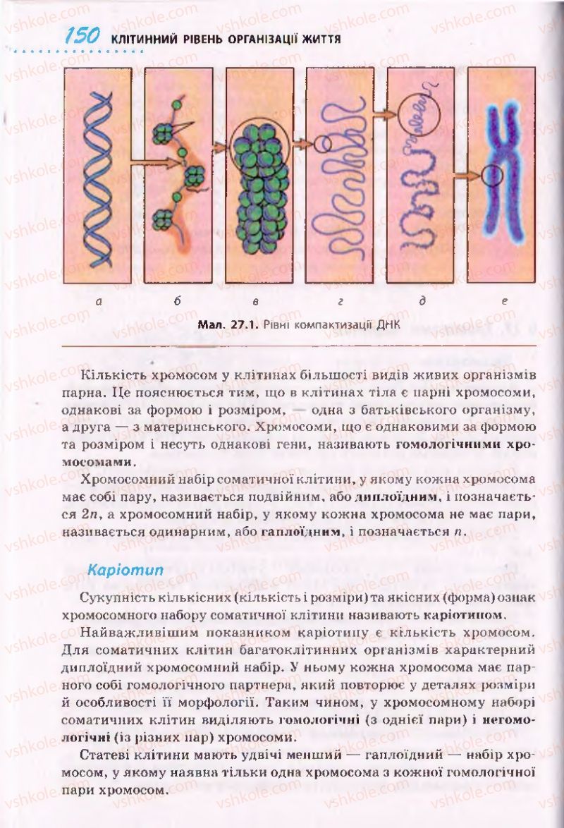 Страница 150 | Підручник Біологія 10 клас О.В. Тагліна 2010 Академічний рівень