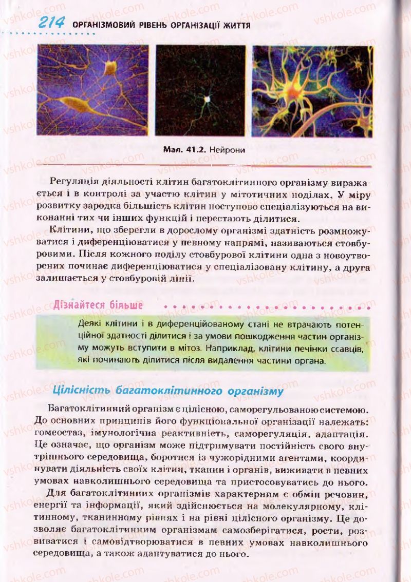 Страница 214 | Підручник Біологія 10 клас О.В. Тагліна 2010 Академічний рівень