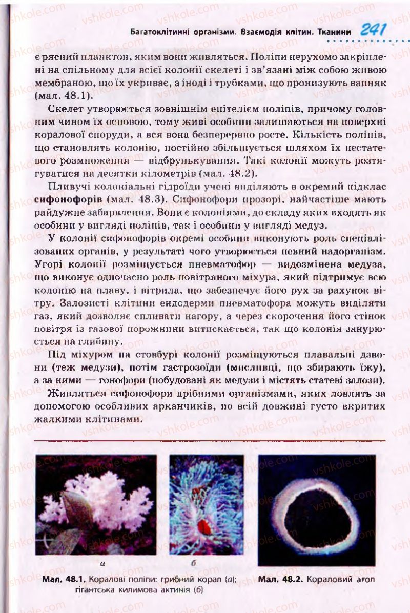 Страница 241 | Підручник Біологія 10 клас О.В. Тагліна 2010 Академічний рівень