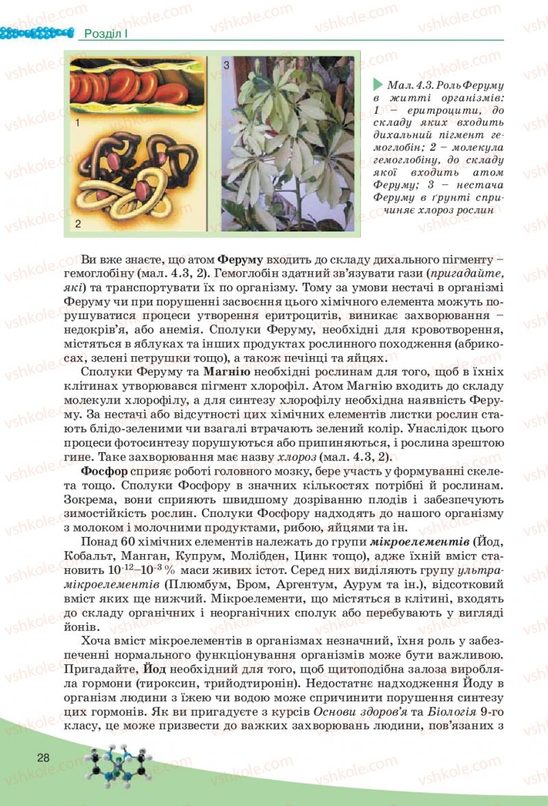 Страница 28 | Підручник Біологія 10 клас П.Г. Балан, Ю.Г. Вервес, В.П. Поліщук 2010 Академічний рівень
