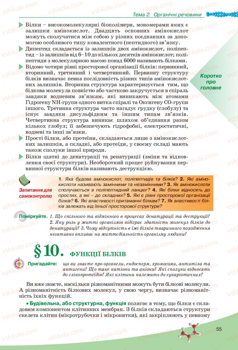 Страница 55 | Підручник Біологія 10 клас П.Г. Балан, Ю.Г. Вервес, В.П. Поліщук 2010 Академічний рівень