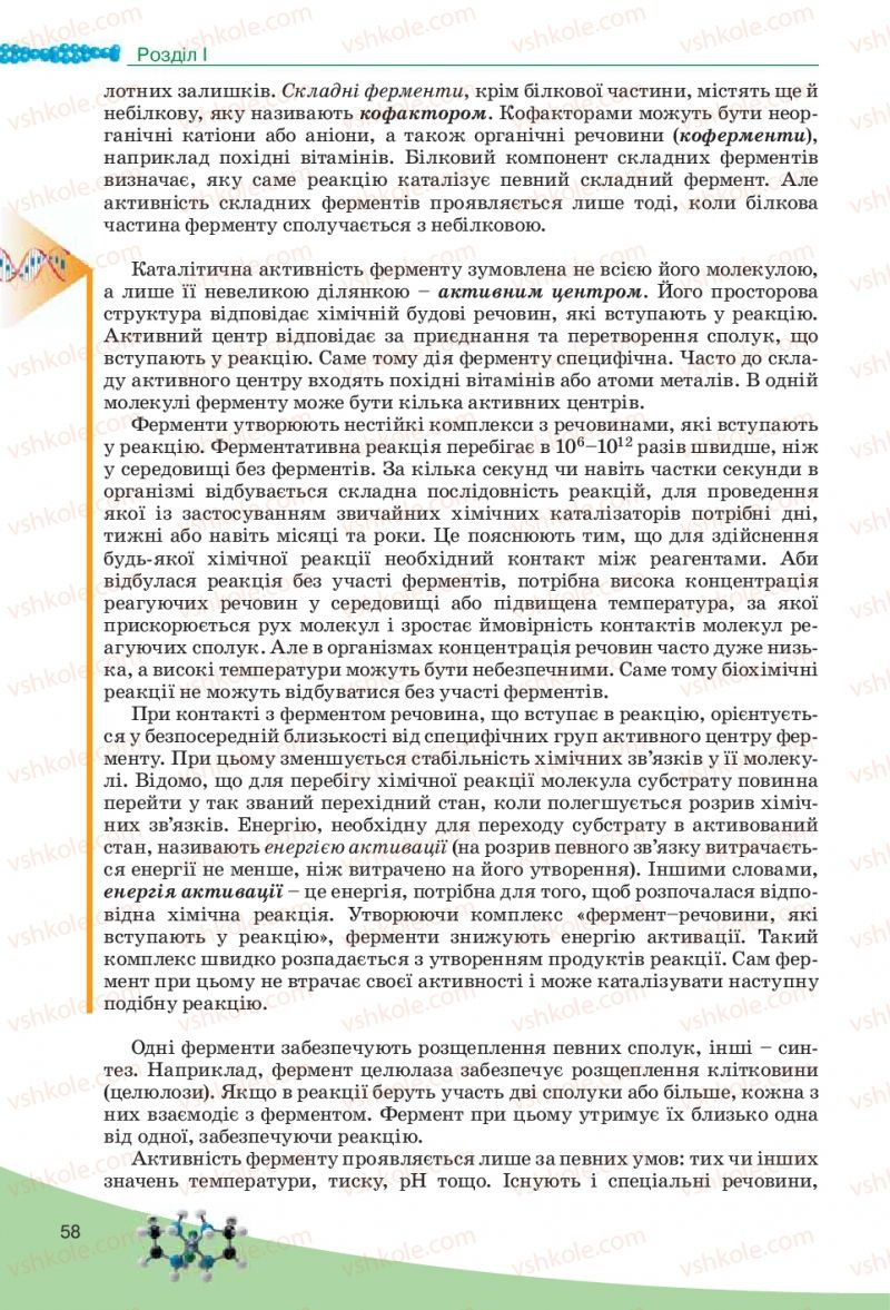 Страница 58 | Підручник Біологія 10 клас П.Г. Балан, Ю.Г. Вервес, В.П. Поліщук 2010 Академічний рівень