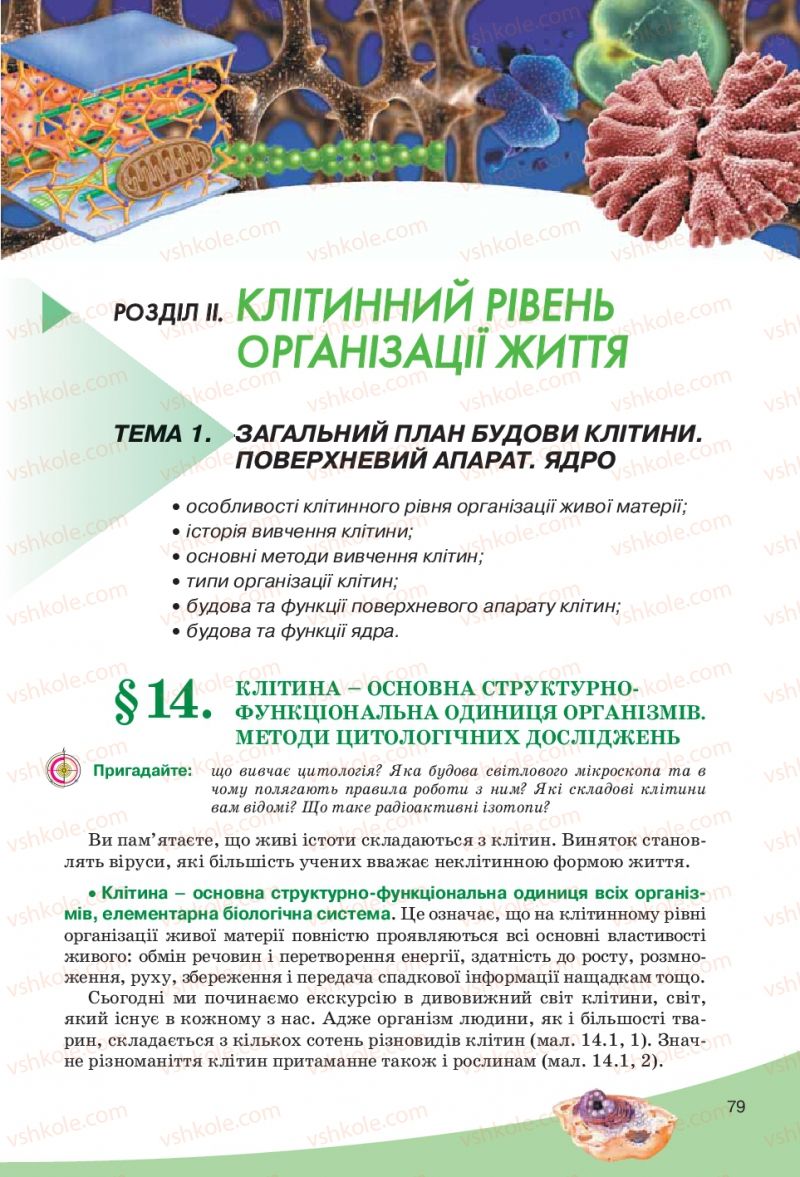 Страница 79 | Підручник Біологія 10 клас П.Г. Балан, Ю.Г. Вервес, В.П. Поліщук 2010 Академічний рівень