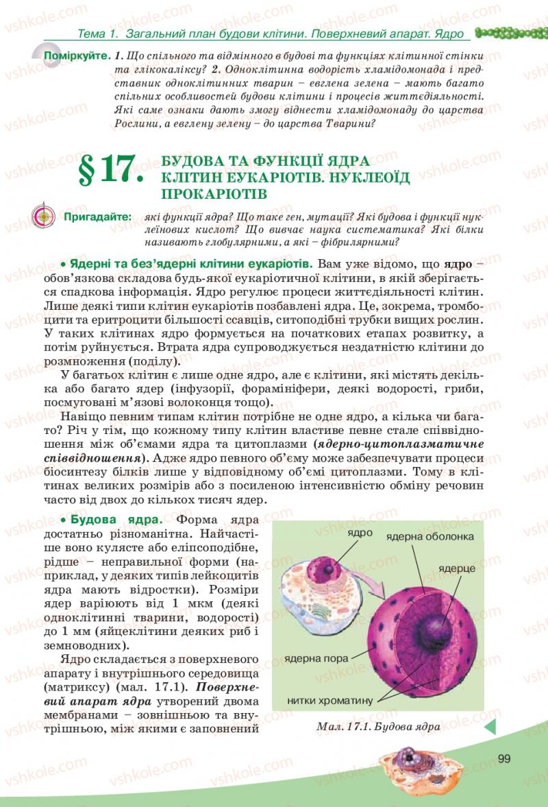 Страница 99 | Підручник Біологія 10 клас П.Г. Балан, Ю.Г. Вервес, В.П. Поліщук 2010 Академічний рівень