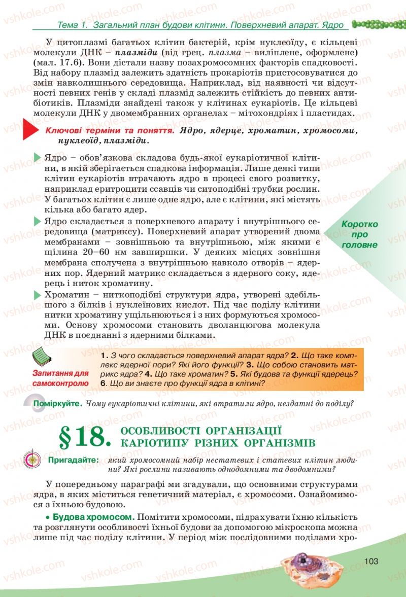 Страница 103 | Підручник Біологія 10 клас П.Г. Балан, Ю.Г. Вервес, В.П. Поліщук 2010 Академічний рівень