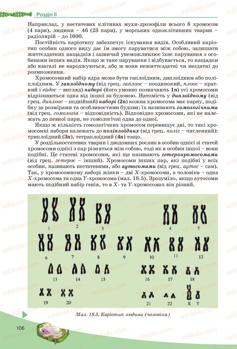 Страница 106 | Підручник Біологія 10 клас П.Г. Балан, Ю.Г. Вервес, В.П. Поліщук 2010 Академічний рівень