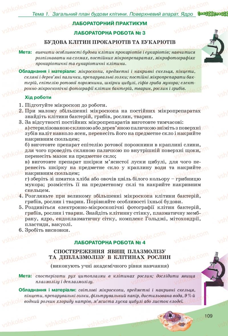 Страница 109 | Підручник Біологія 10 клас П.Г. Балан, Ю.Г. Вервес, В.П. Поліщук 2010 Академічний рівень